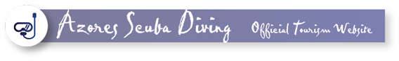 Azores Scuba Diving - Official Tourism Website Azores Scuba Diving - Official Tourism Website